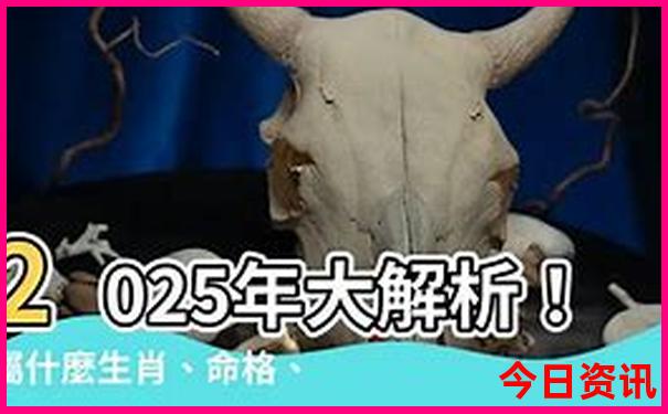 全新免费2025全年分析免费全新攻略资料全网大全-新澳门精准正版免费大全
